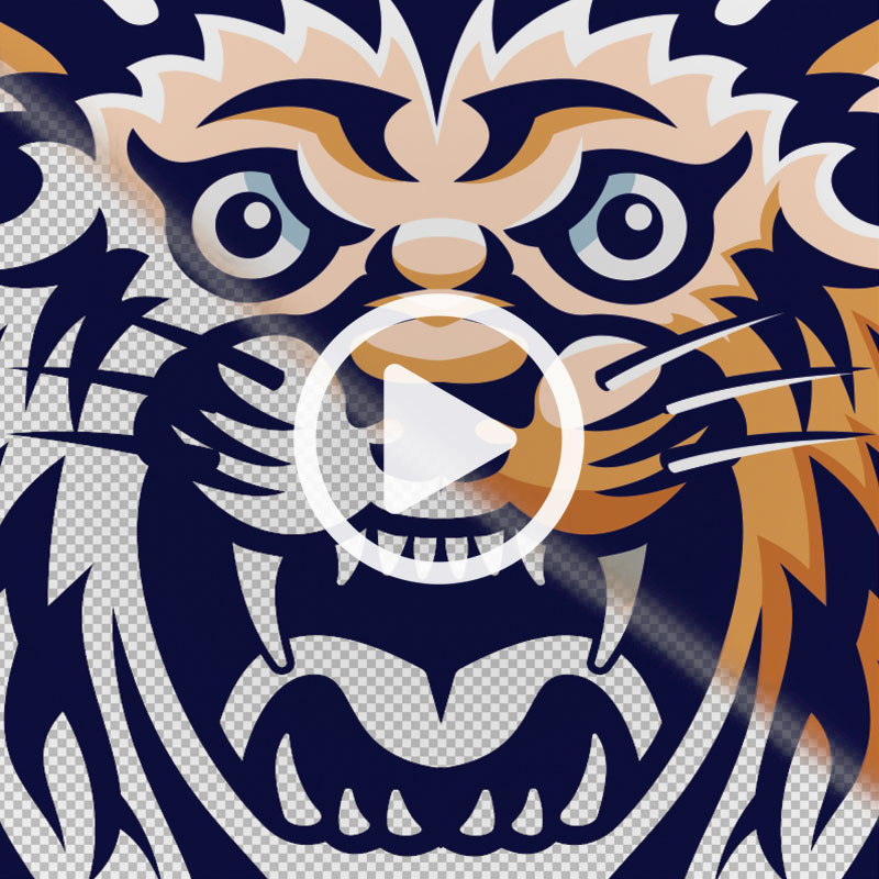 Process Video of Vector Illustration © Jack Suter. All rights reserved.